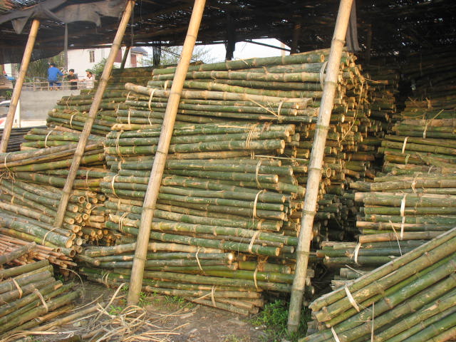 cọc tre công trình tại Đà Nẵng